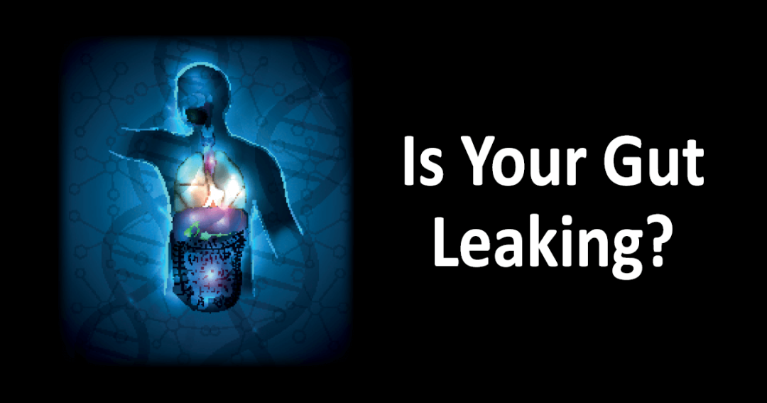 Is Your Gut Leaking?